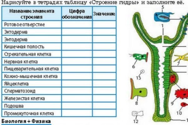 Кракен шоп даркнет