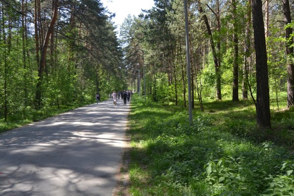 Clear ссылка на кракен